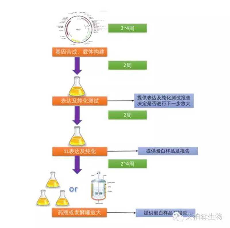 检验检疫技术中心改革:未来在哪里?